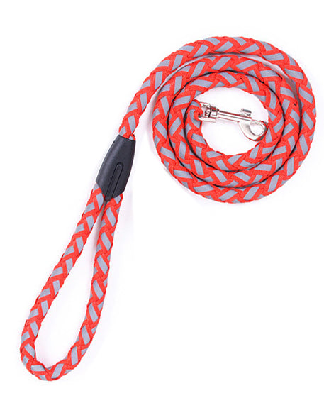 Dogs Collar Harness Pitbull