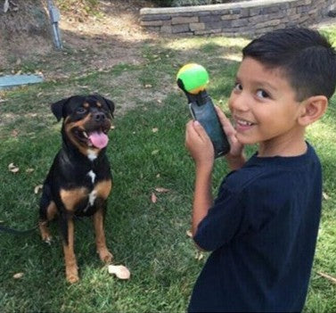 tennis ball Self-timer Funny Your Puppy And Children Good Gifts
