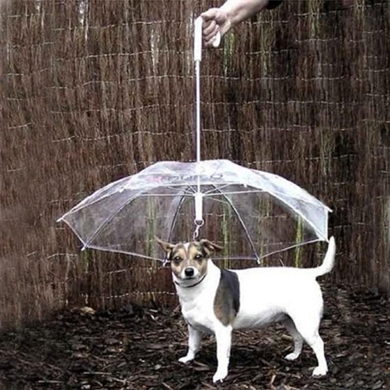 Umbrella Rain Gear with Dog Leads Keeps