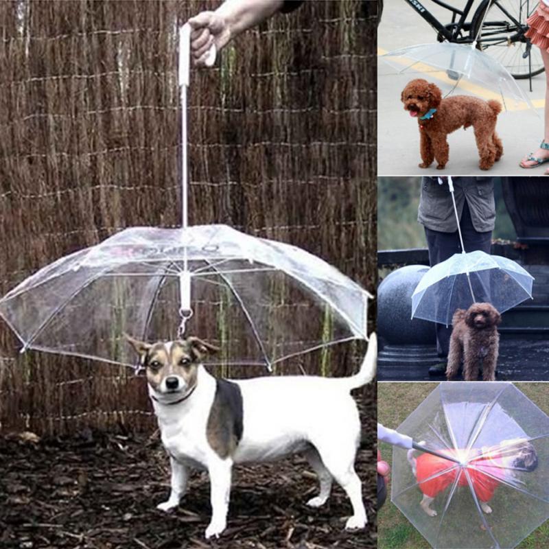 Umbrella Rain Gear with Dog Leads Keeps
