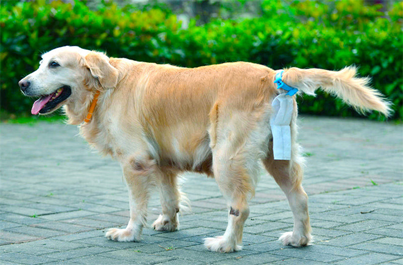 Portable Goods for Pets Waste Poop Bag